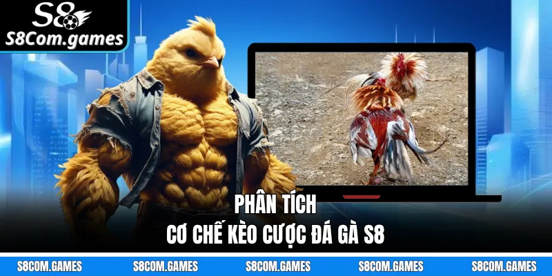 Phân tích cơ chế kèo cược đá gà S8 